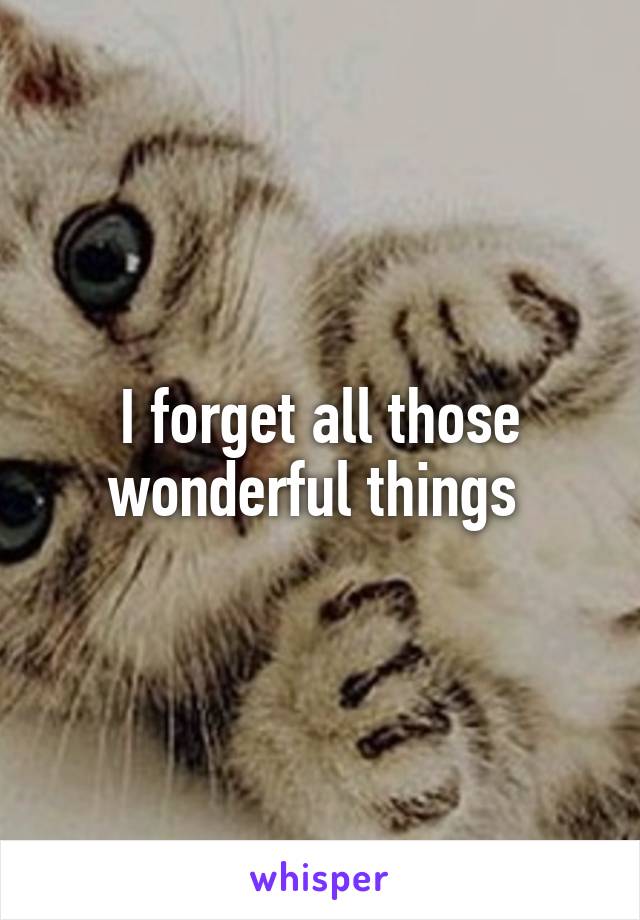 I forget all those wonderful things 