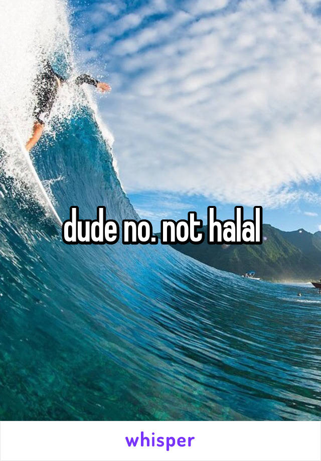 dude no. not halal