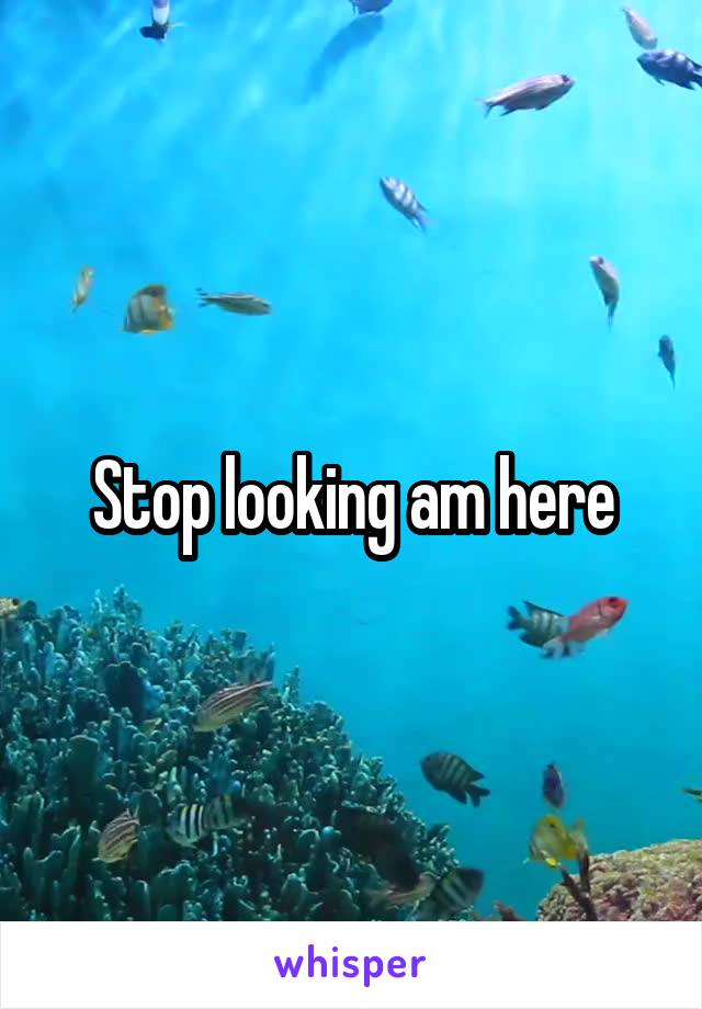 Stop looking am here