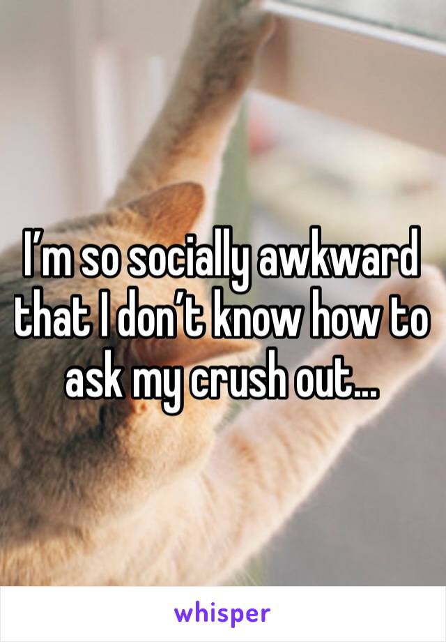 I’m so socially awkward that I don’t know how to ask my crush out...