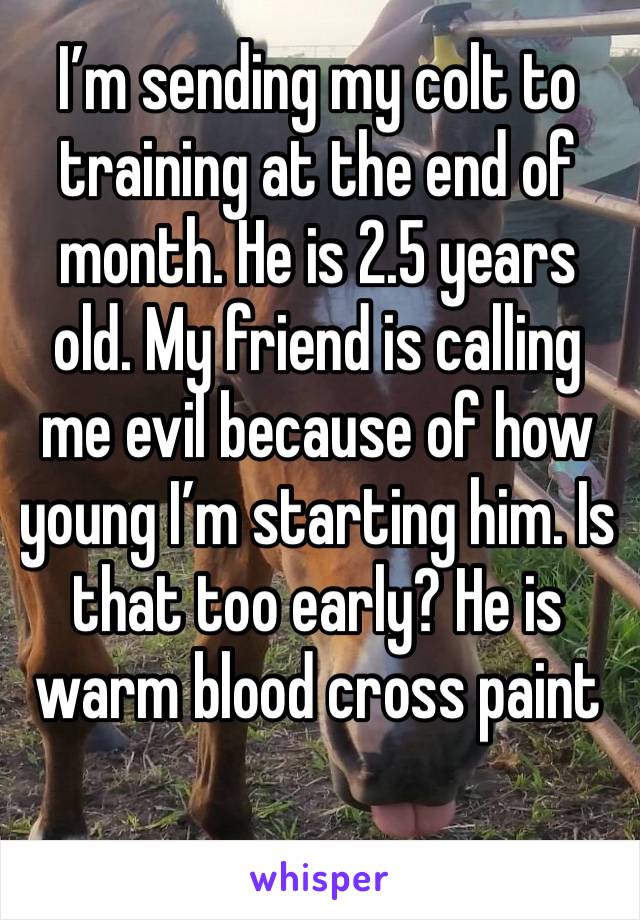 I’m sending my colt to training at the end of month. He is 2.5 years old. My friend is calling me evil because of how young I’m starting him. Is that too early? He is warm blood cross paint 