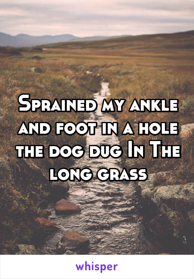Sprained my ankle and foot in a hole the dog dug In The long grass