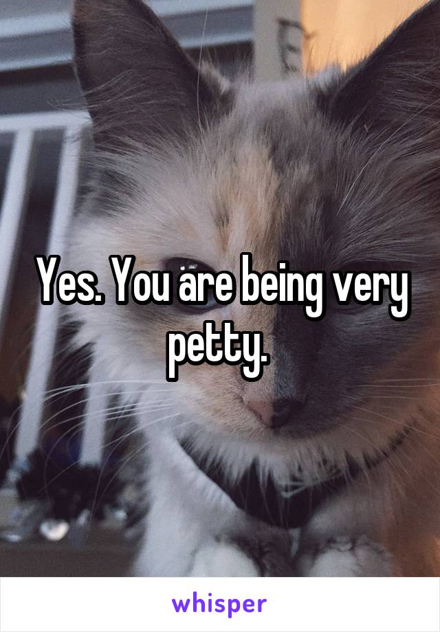 Yes. You are being very petty. 