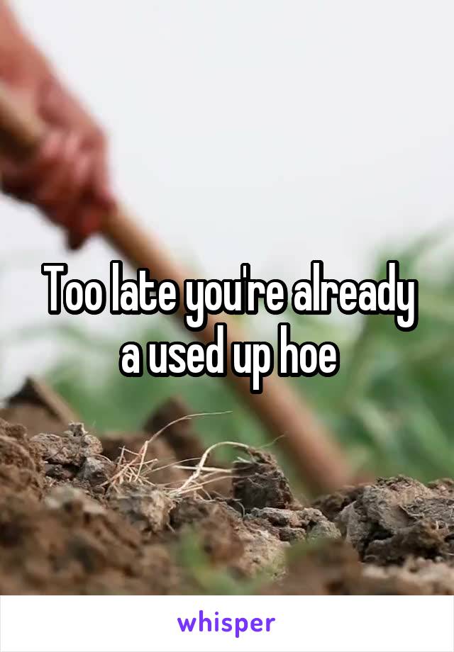 Too late you're already a used up hoe