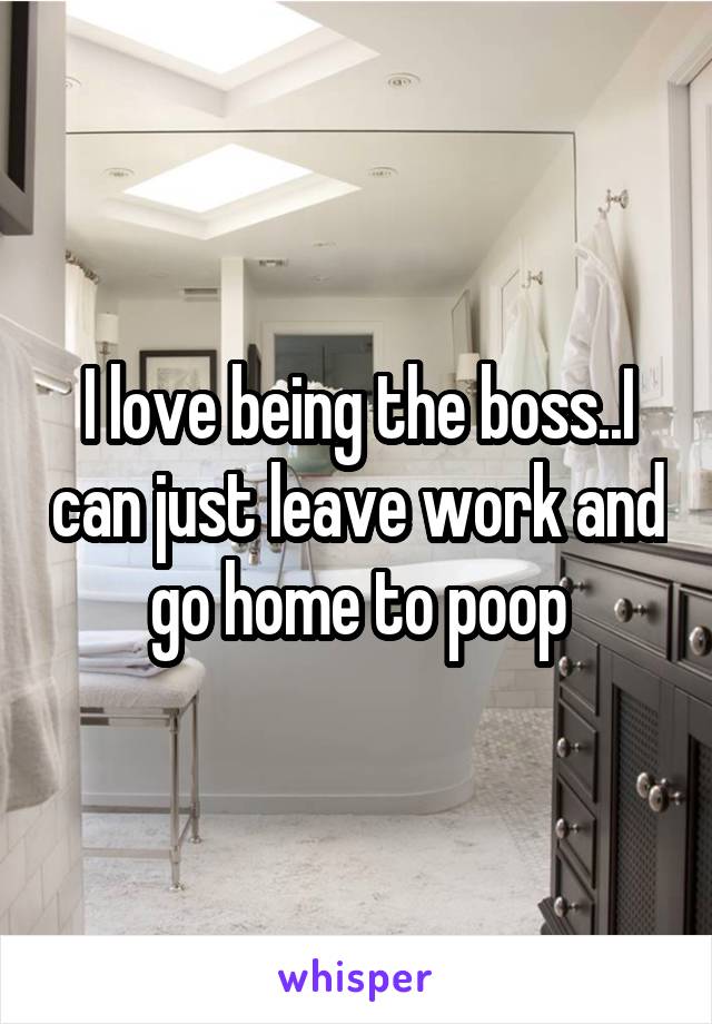 I love being the boss..I can just leave work and go home to poop