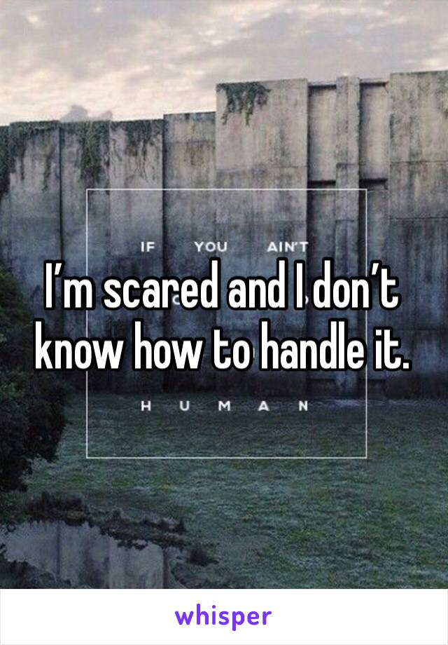 I’m scared and I don’t know how to handle it.