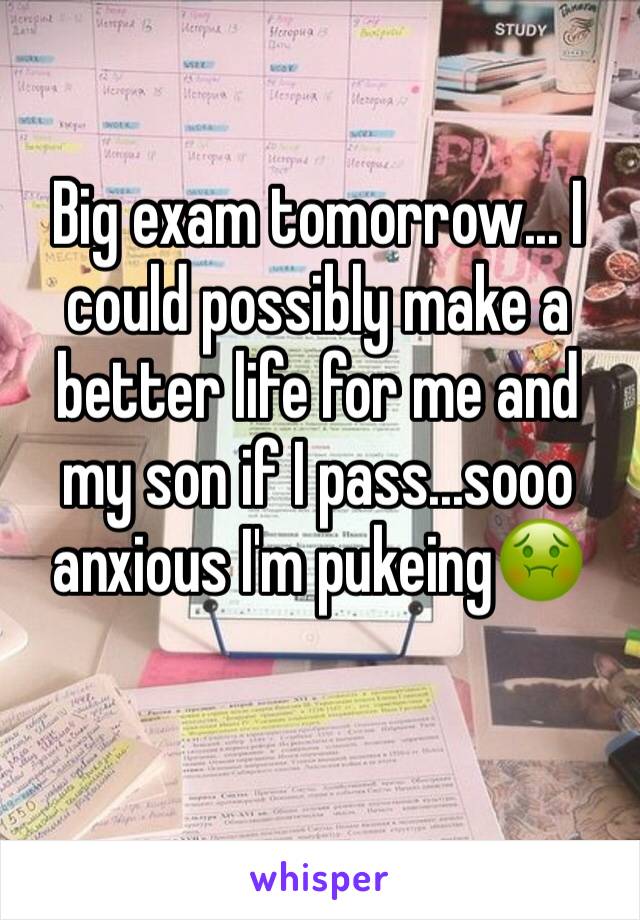 Big exam tomorrow... I could possibly make a better life for me and my son if I pass...sooo anxious I'm pukeing🤢