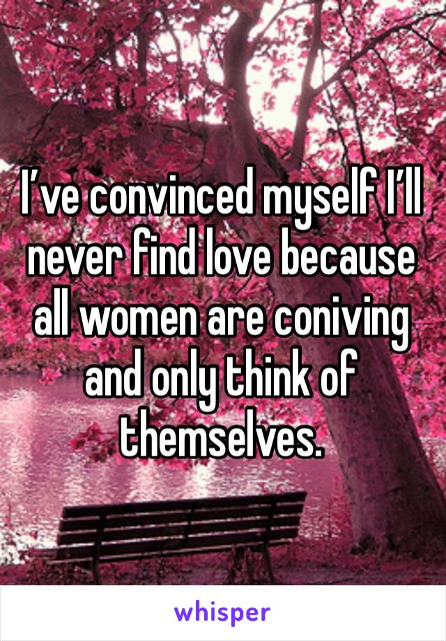 I’ve convinced myself I’ll never find love because all women are coniving and only think of themselves. 