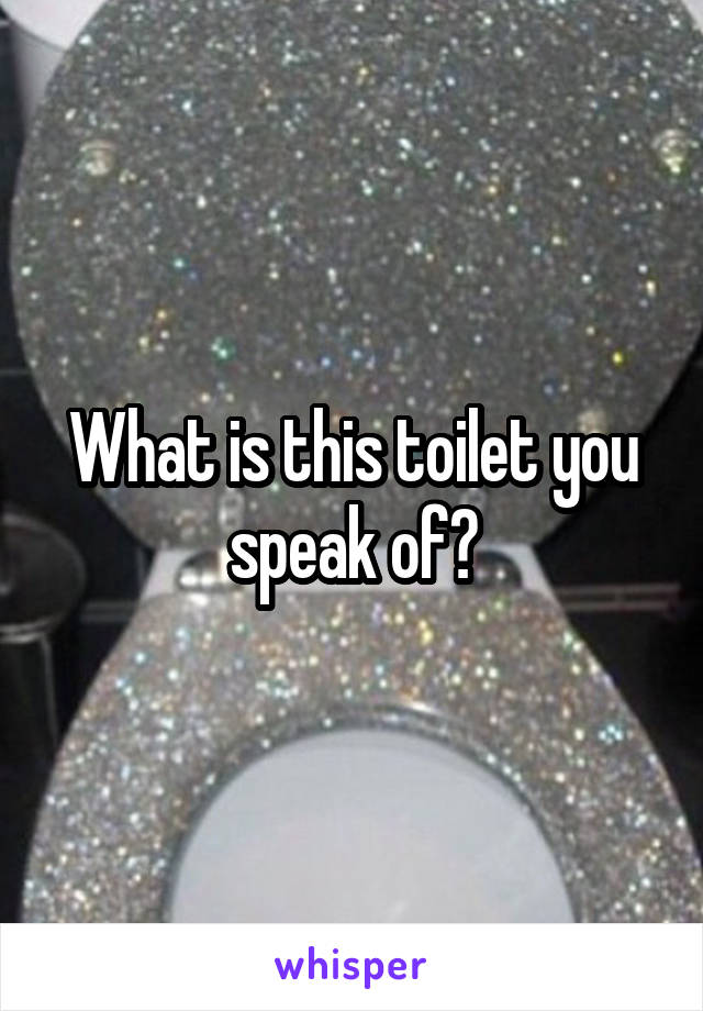 What is this toilet you speak of?