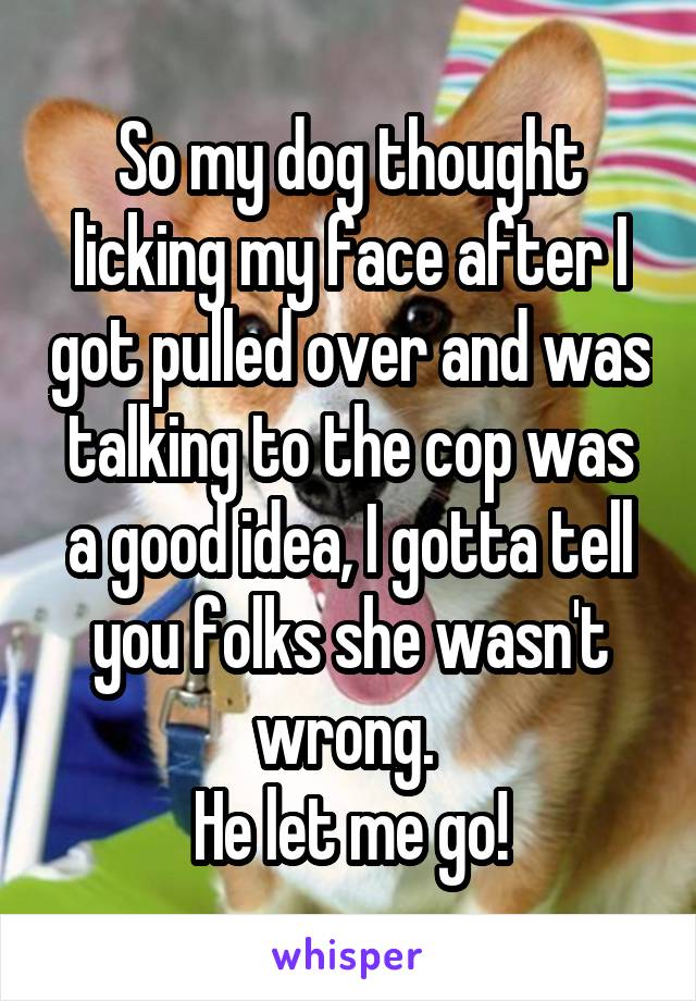 So my dog thought licking my face after I got pulled over and was talking to the cop was a good idea, I gotta tell you folks she wasn't wrong. 
He let me go!