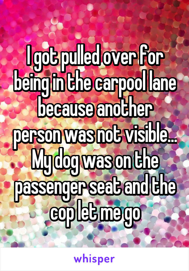 I got pulled over for being in the carpool lane because another person was not visible... My dog was on the passenger seat and the cop let me go