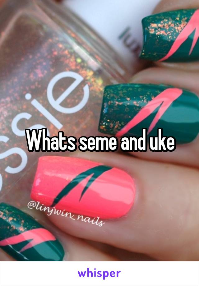 Whats seme and uke