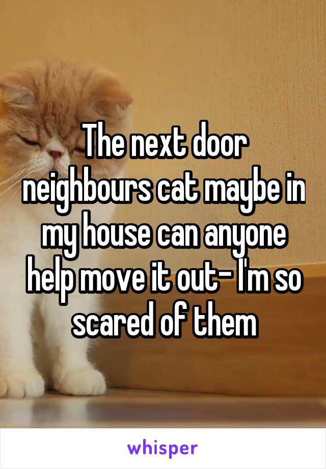 The next door neighbours cat maybe in my house can anyone help move it out- I'm so scared of them
