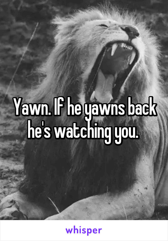 Yawn. If he yawns back he's watching you. 