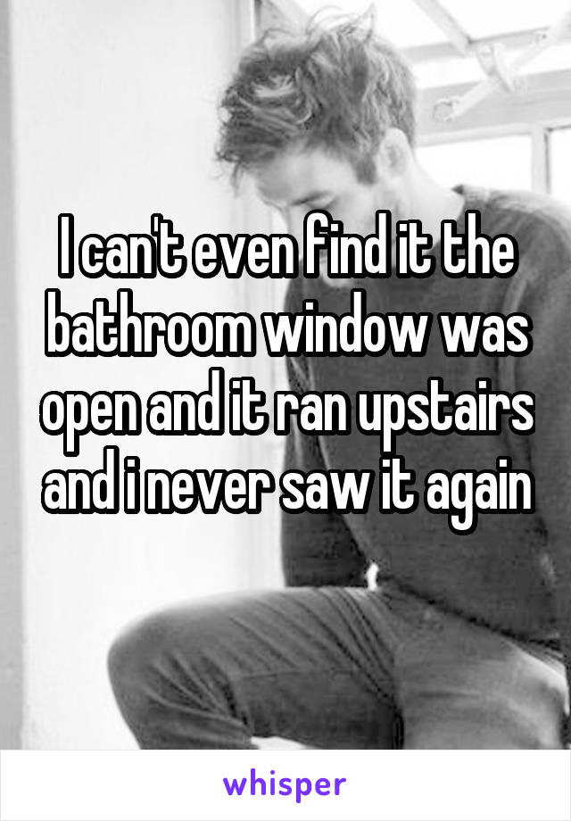 I can't even find it the bathroom window was open and it ran upstairs and i never saw it again 