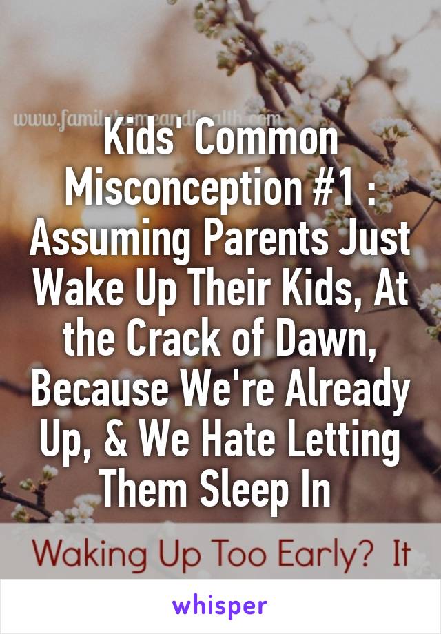 Kids' Common Misconception #1 : Assuming Parents Just Wake Up Their Kids, At the Crack of Dawn, Because We're Already Up, & We Hate Letting Them Sleep In 