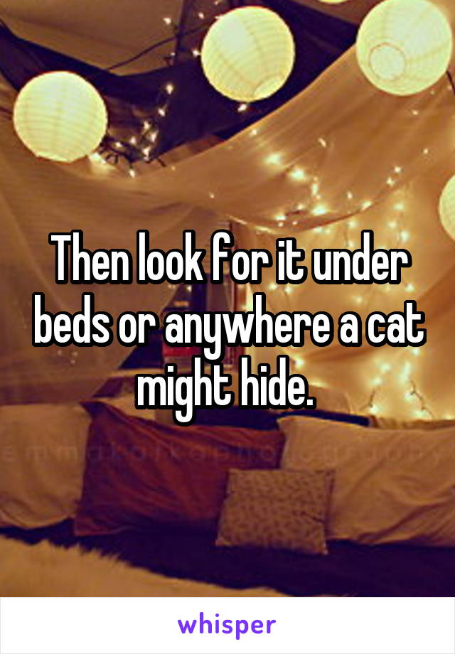 Then look for it under beds or anywhere a cat might hide. 