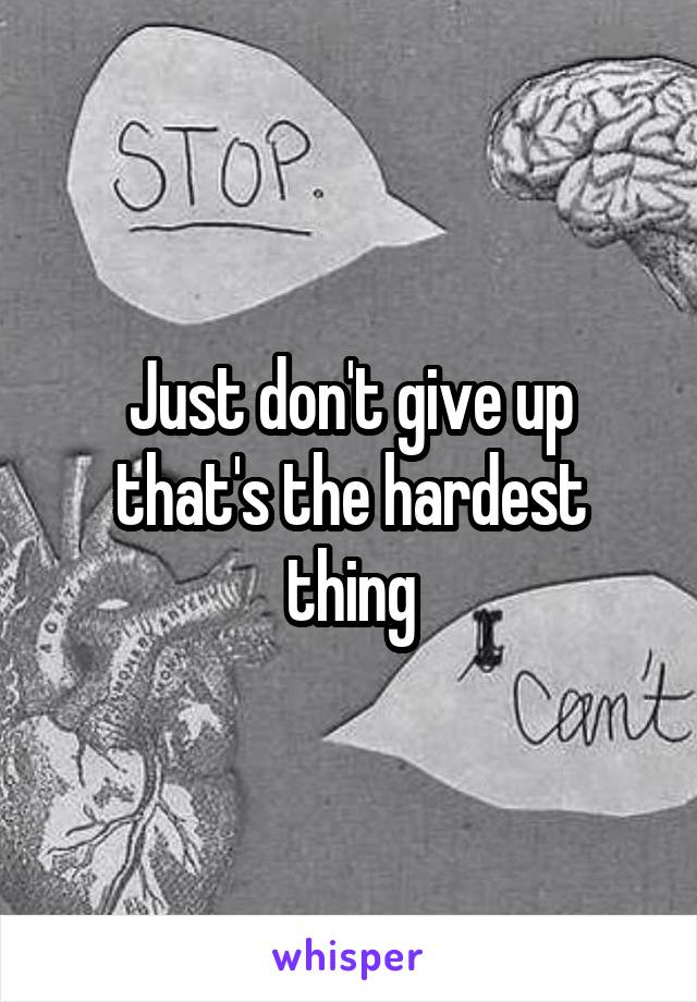 Just don't give up that's the hardest thing