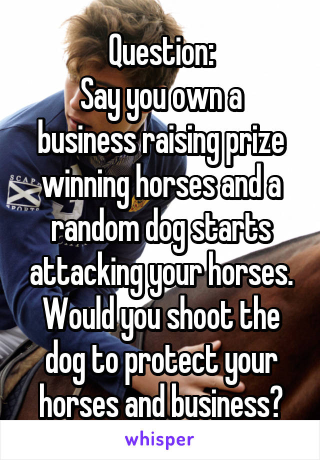 Question:
Say you own a business raising prize winning horses and a random dog starts attacking your horses. Would you shoot the dog to protect your horses and business?