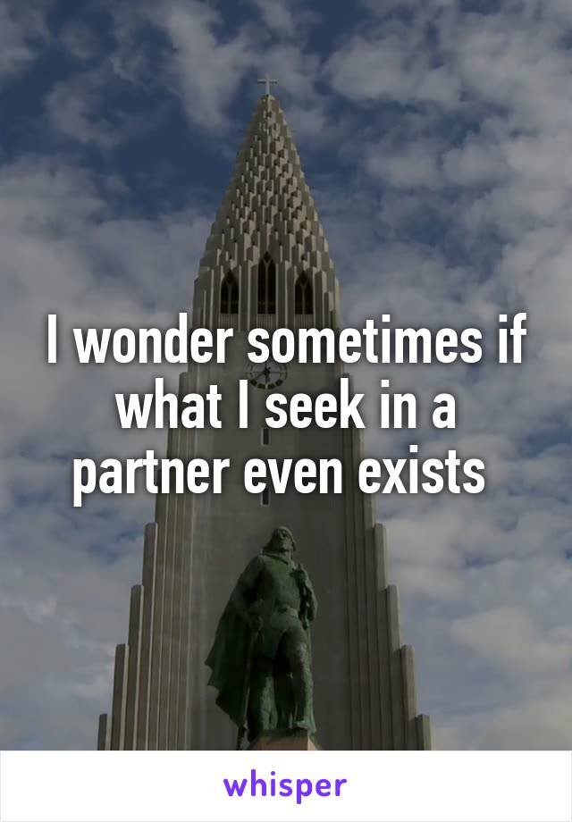 I wonder sometimes if what I seek in a partner even exists 