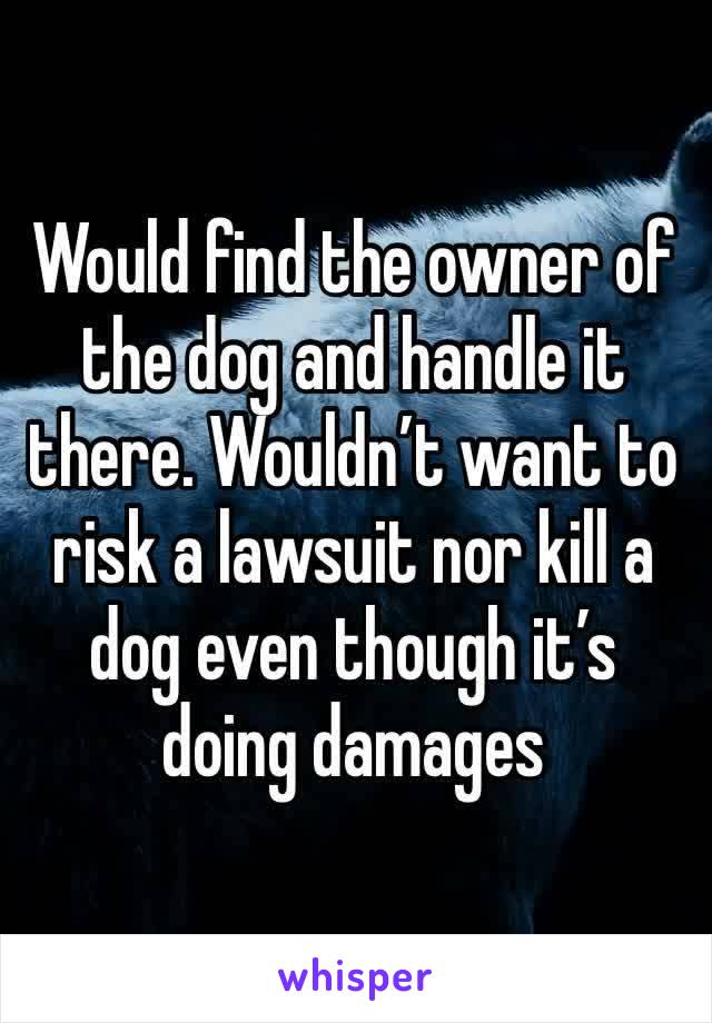 Would find the owner of the dog and handle it there. Wouldn’t want to risk a lawsuit nor kill a dog even though it’s doing damages 