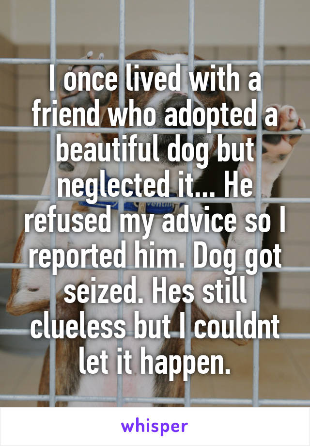 I once lived with a friend who adopted a beautiful dog but neglected it... He refused my advice so I reported him. Dog got seized. Hes still clueless but I couldnt let it happen.