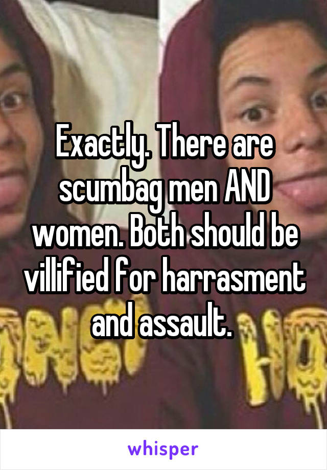 Exactly. There are scumbag men AND women. Both should be villified for harrasment and assault. 