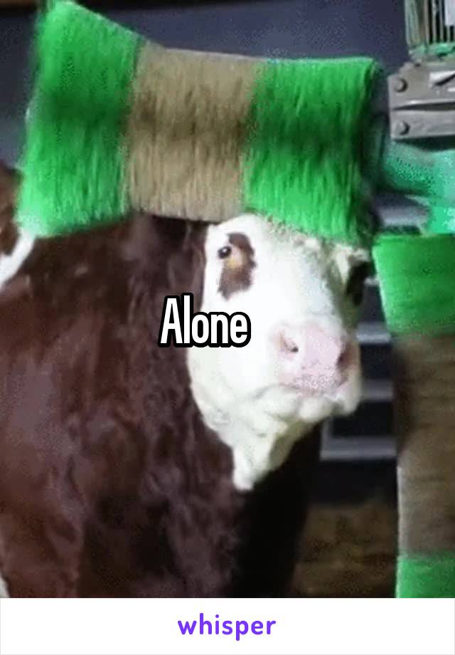 Alone      