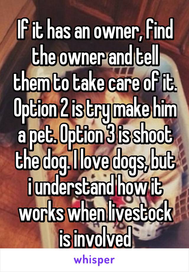If it has an owner, find the owner and tell them to take care of it. Option 2 is try make him a pet. Option 3 is shoot the dog. I love dogs, but i understand how it works when livestock is involved