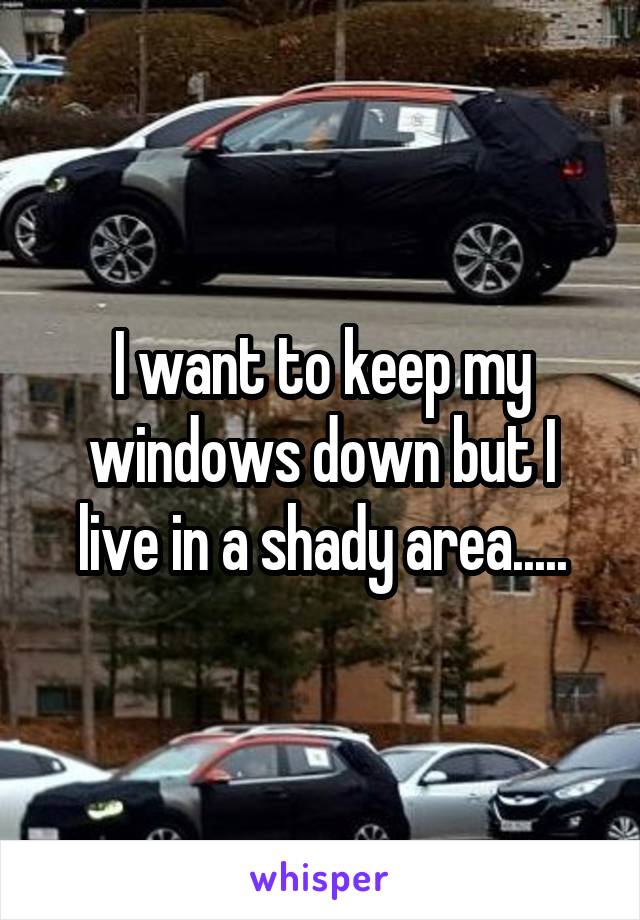 I want to keep my windows down but I live in a shady area.....