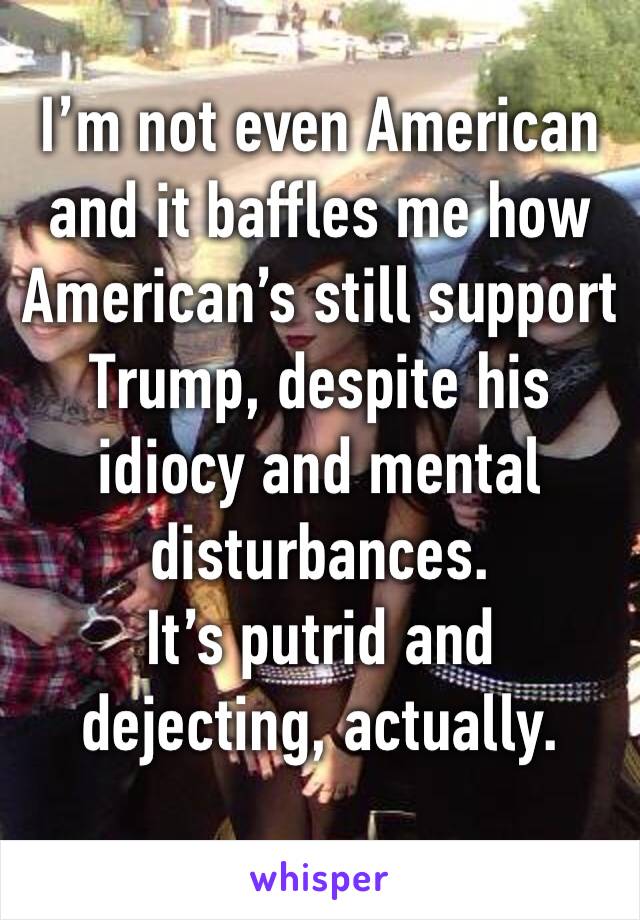 I’m not even American and it baffles me how American’s still support Trump, despite his idiocy and mental disturbances. 
It’s putrid and dejecting, actually. 