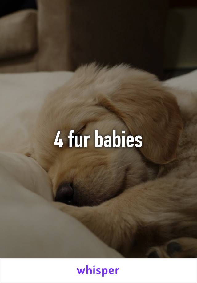 4 fur babies