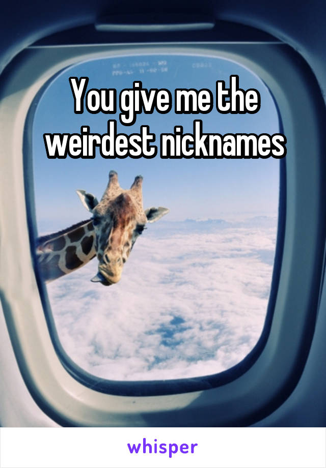 You give me the weirdest nicknames




