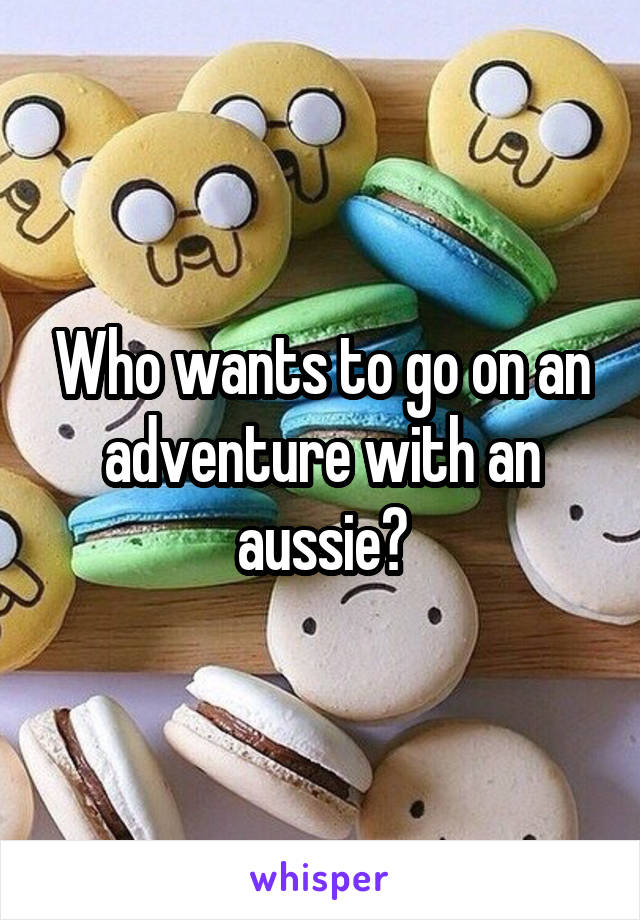 Who wants to go on an adventure with an aussie?