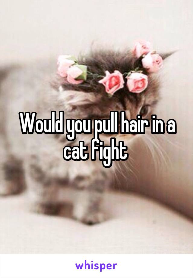 Would you pull hair in a cat fight 