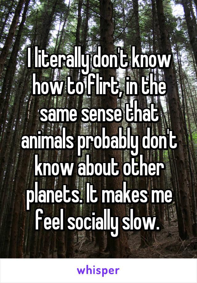 I literally don't know how to flirt, in the same sense that animals probably don't know about other planets. It makes me feel socially slow. 