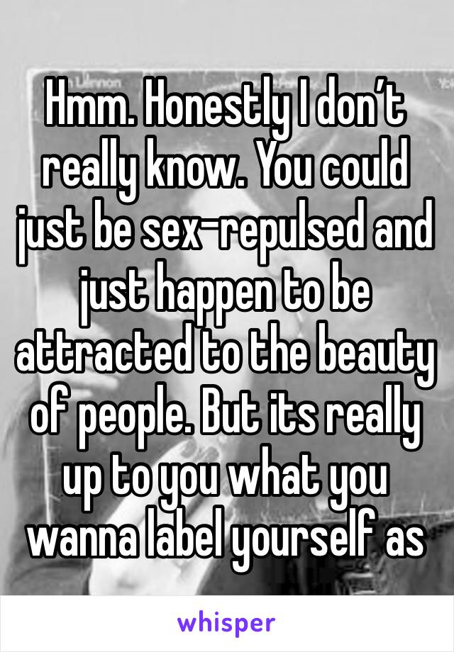 Hmm. Honestly I don’t really know. You could just be sex-repulsed and just happen to be attracted to the beauty of people. But its really up to you what you wanna label yourself as 