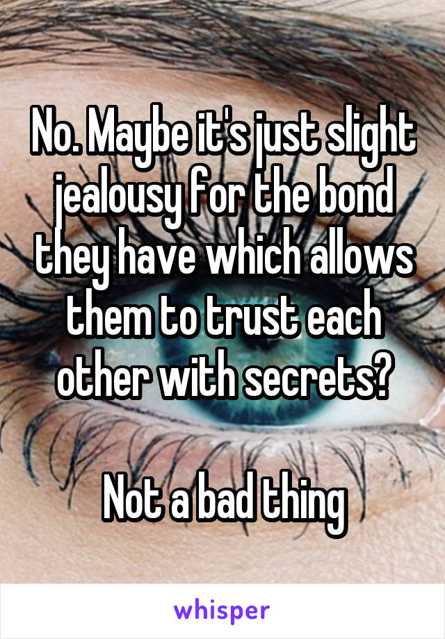 No. Maybe it's just slight jealousy for the bond they have which allows them to trust each other with secrets?

Not a bad thing