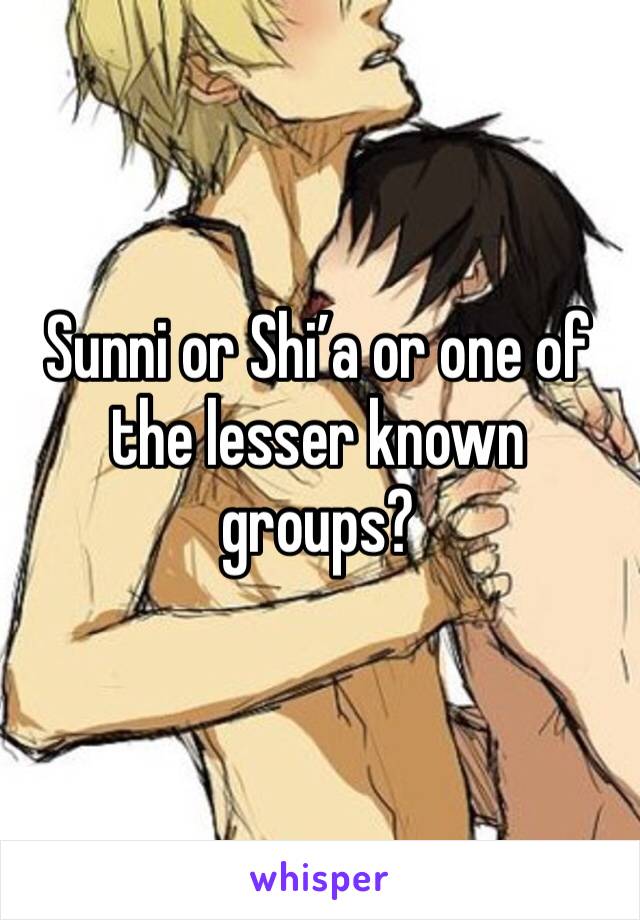 Sunni or Shi’a or one of the lesser known groups?