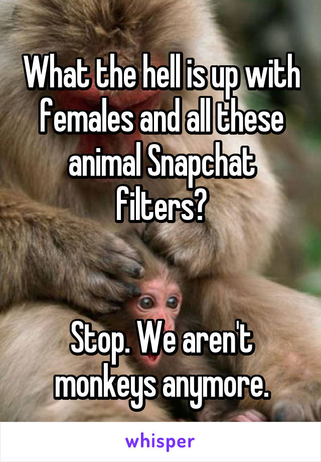 What the hell is up with females and all these animal Snapchat filters?


Stop. We aren't monkeys anymore.