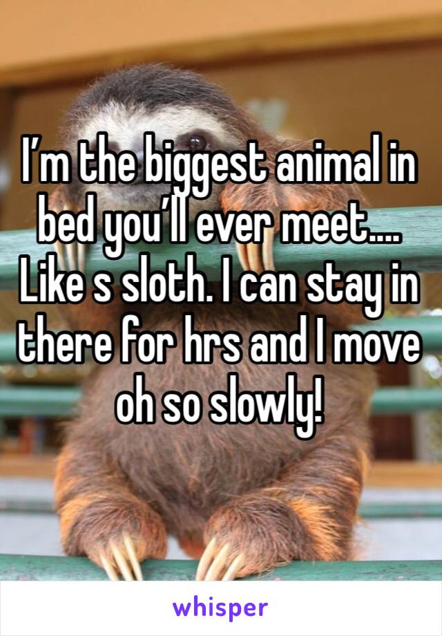 I’m the biggest animal in bed you’ll ever meet....
Like s sloth. I can stay in there for hrs and I move oh so slowly!