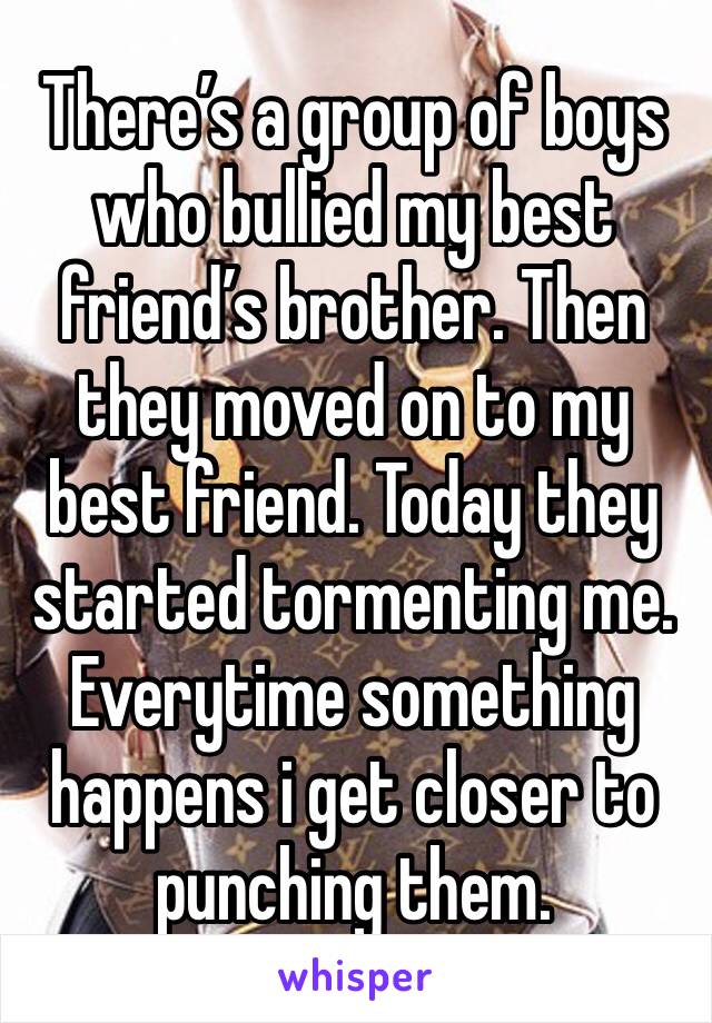 There’s a group of boys who bullied my best friend’s brother. Then they moved on to my best friend. Today they started tormenting me. Everytime something happens i get closer to punching them. 