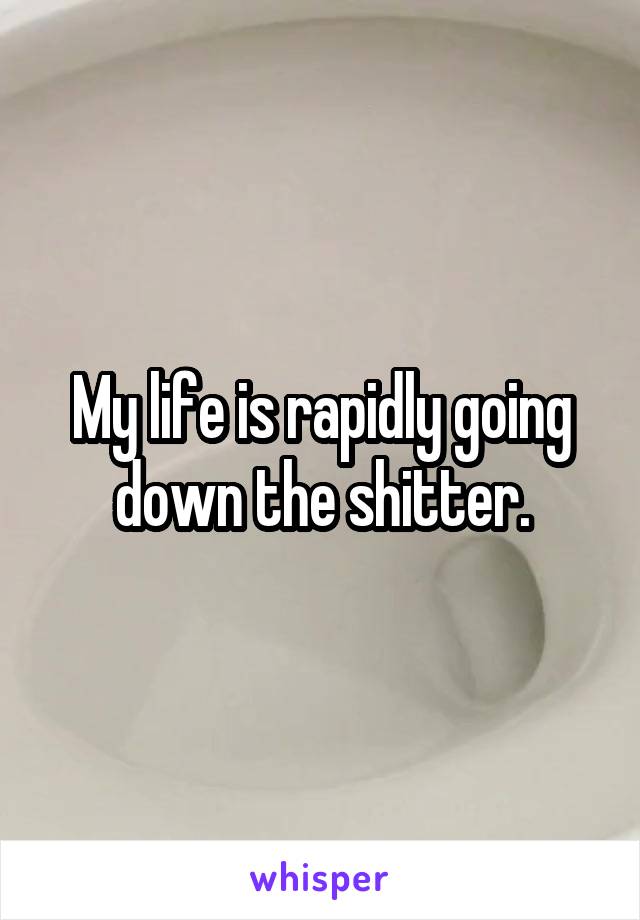 My life is rapidly going down the shitter.