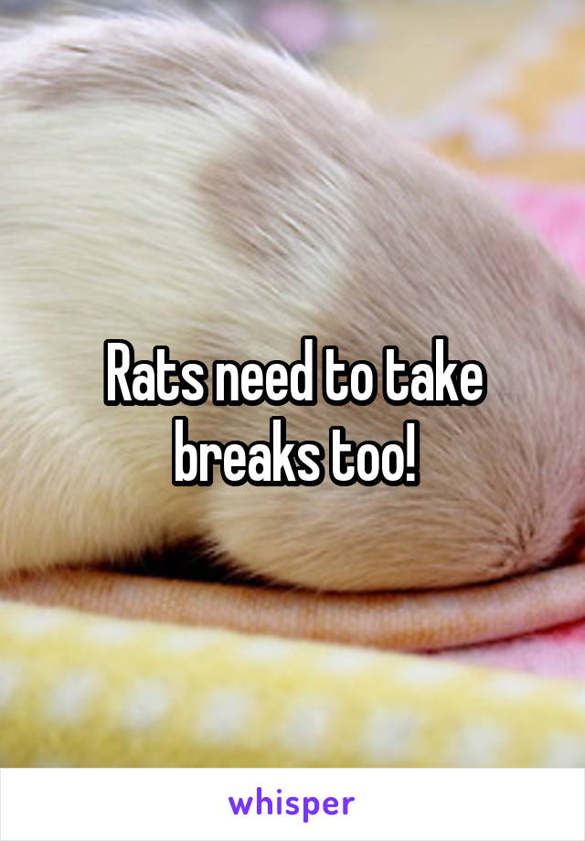 Rats need to take breaks too!