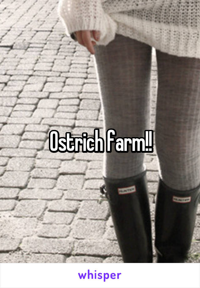 Ostrich farm!!