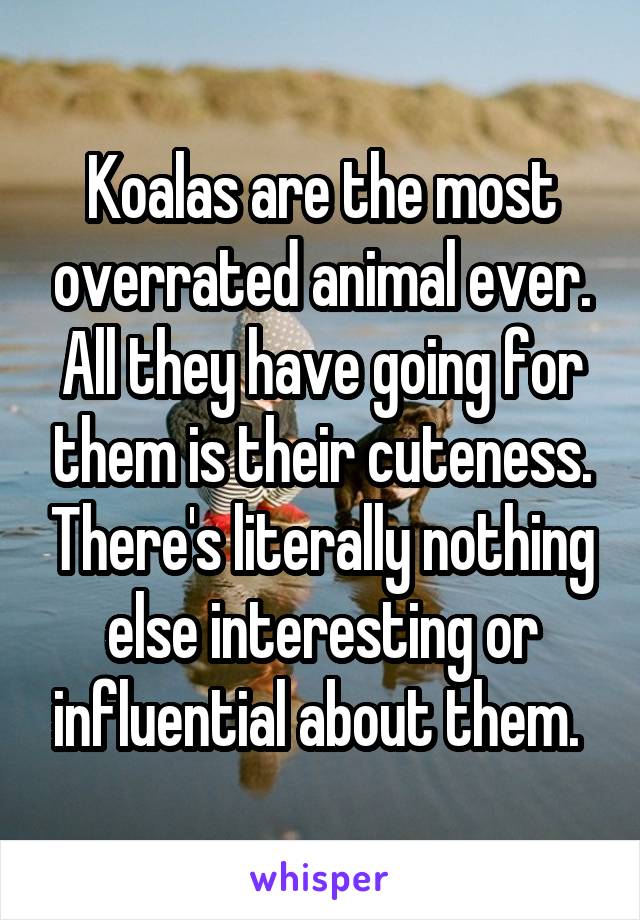Koalas are the most overrated animal ever. All they have going for them is their cuteness. There's literally nothing else interesting or influential about them. 