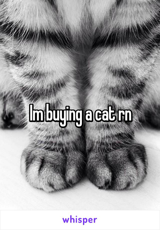 Im buying a cat rn