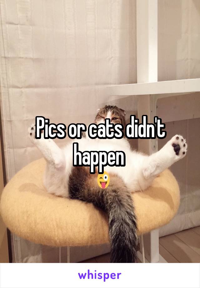 Pics or cats didn't happen 