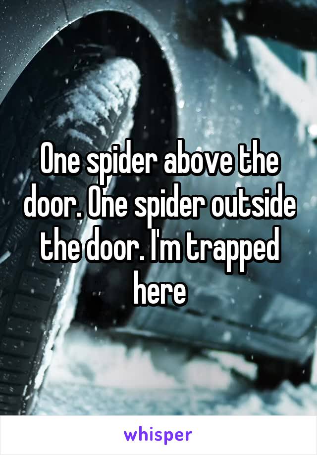 One spider above the door. One spider outside the door. I'm trapped here