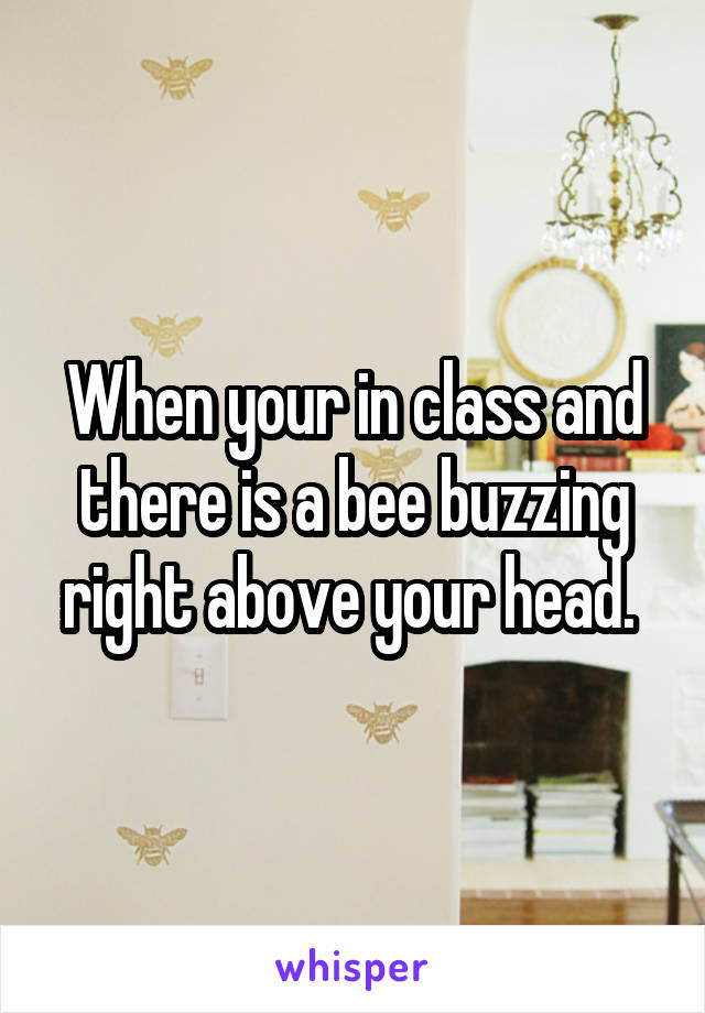 When your in class and there is a bee buzzing right above your head. 